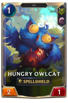Hungry Owlcat