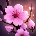 Yếnn Nhi#1102