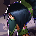 Akshan Leveling#Lv103