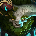 Ariermort#IVERN