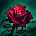 D4 OFF PYKE#XBP69