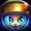 Gnar of Rivia#robot